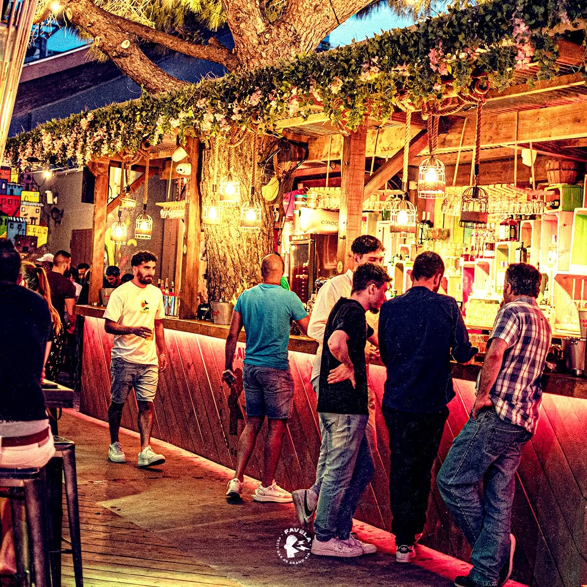 Clients au bar Favela sous un grand arbre illuminé, ambiance festive en terrasse.